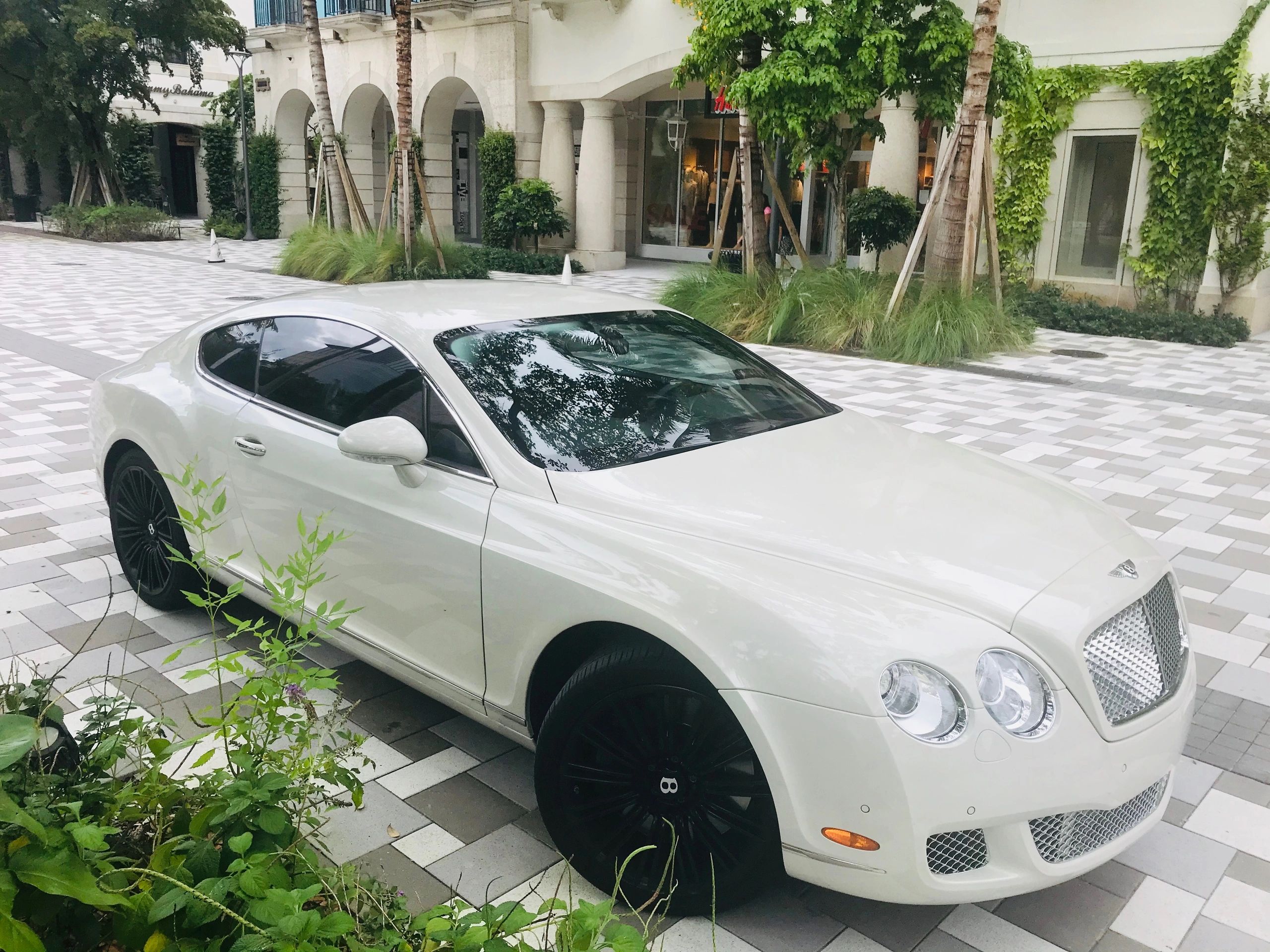 American Auto Collision Center